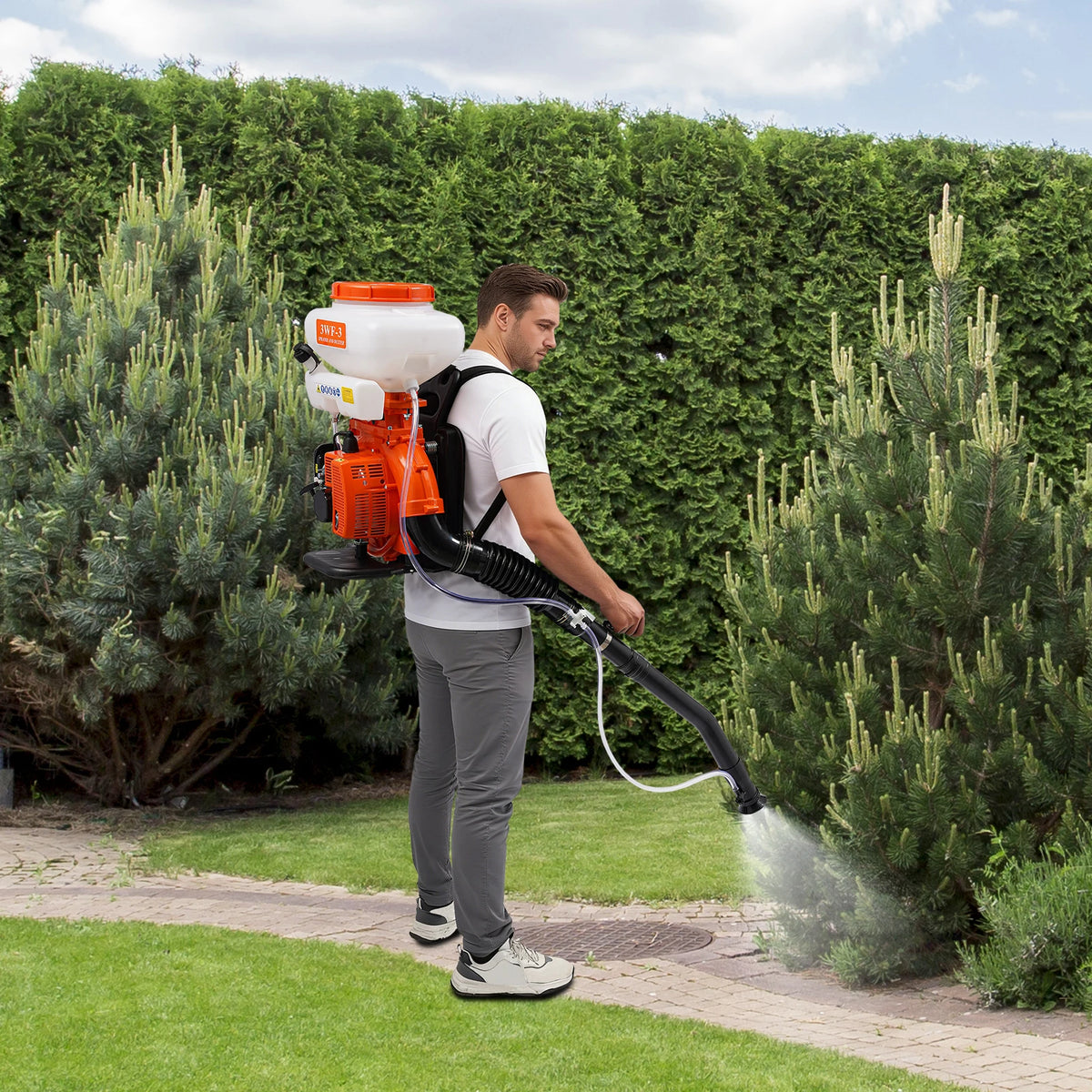 Portable Backpack Gas Sprayer For Orchard And Garden