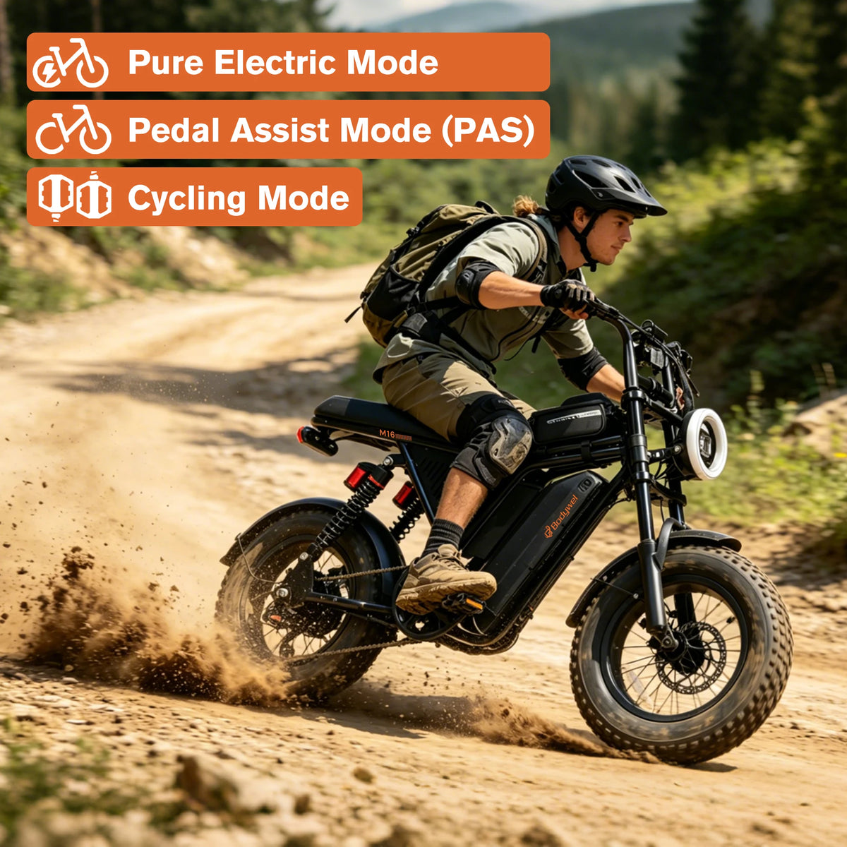 Bodywel M16 Fat Tire Off Road Electric Bike Removable Battery