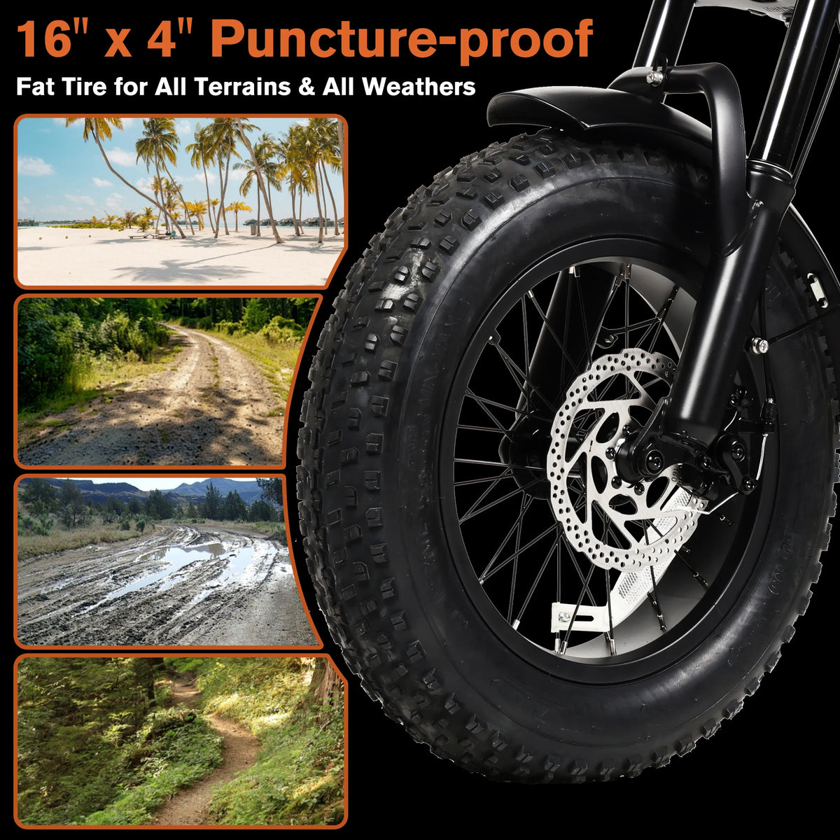 Bodywel M16 Fat Tire Off Road Electric Bike Removable Battery