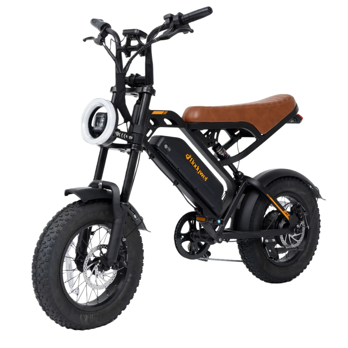 Bodywel M16 Fat Tire Off Road Electric Bike Removable Battery